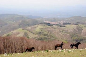 LUN.21-04-14 P.REG.NAT.MONTI LUCRETILI: MONTE PELLECCHIA E PIZZO PELLECCHIA DAL PAESE DI MONTEFLAVIO.