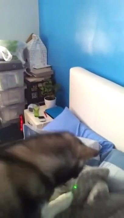 Arkadaş Uyandırmanın En Eğlenceli Yolu