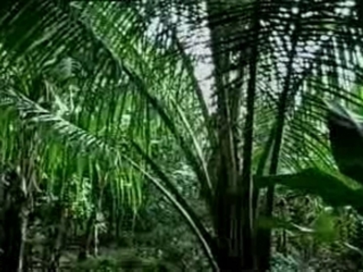 Cach xa - Nguyen hung , Ph hong que - Video Dailymotion