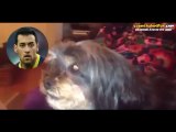 Barcelona'lı Oyuncuları Duyunca Bi Tuhaf Olan Köpek