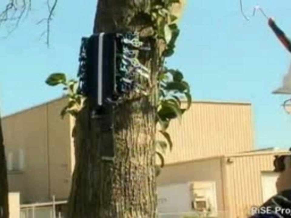 Climbing Robot - Robot Grimpeur- RiSE