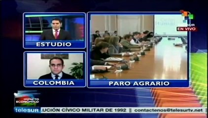 Experto asegura que paro agrario colombiano es totalmente justificado