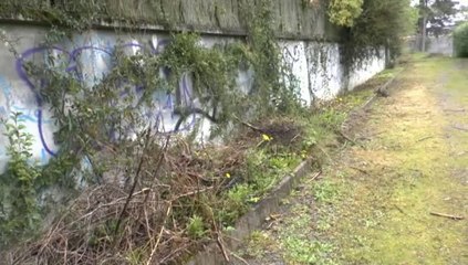 LES W-D.D.MICHOU NEWS - 24 MARS 2014 - TRAIT D'UNION EST EN TRAIN DE DEVENIR UN VERITABLE PARC.