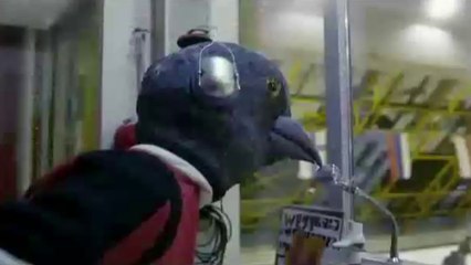 Lettre imaginaire d'Albert Einstein à Michel Gondry