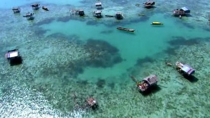 Okyanusun Ortasında Yaşam