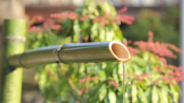 The Aikido Notebooks with Michel Erb Sensei Part 1 The active learning process