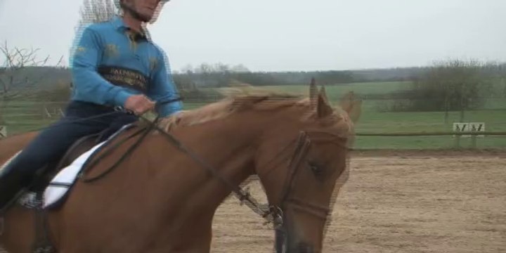 Cheval Pratique - Les transitions avec Bertrand Poisson