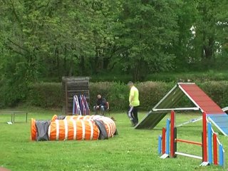 Manche1 - Agility - CR2014
