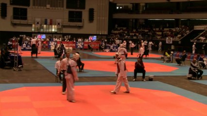 COUPE DE FRANCE TKD, VETERANS 3 (2014) -  STEPHANE