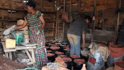 Goma: des ONG luttent contre la déforestation des Virunga