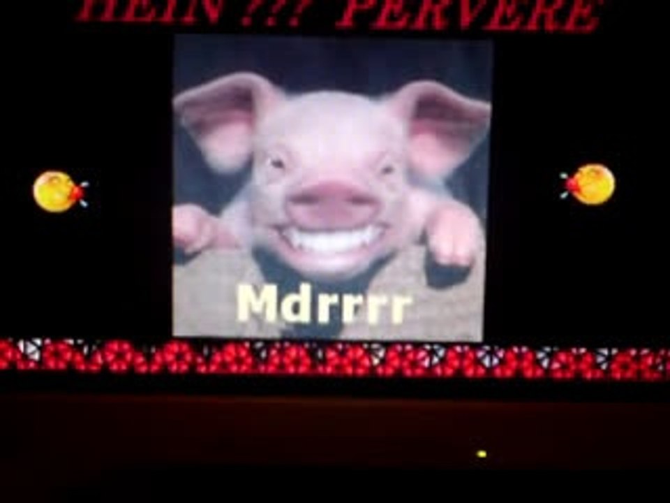 porc mdr!!!!!!!!!!!!!!!!!!!!