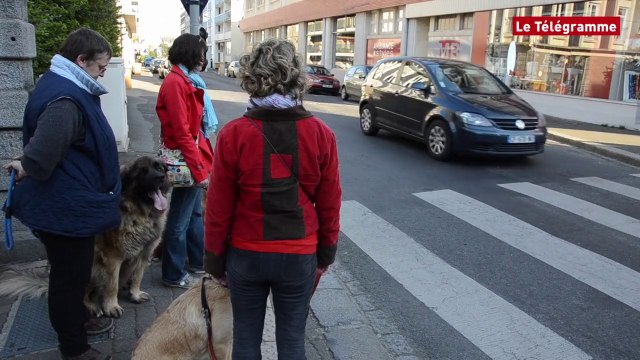 Saint-Brieuc. Education canine sur les trottoirs