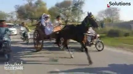 fareed khan ghohri sunehri and haji ilyas of peshawar riding jumma try 11-4-14