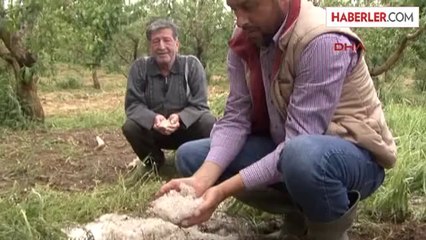 5 Dakikalık Dolu 1 Yıllık Emeği Yok Etti