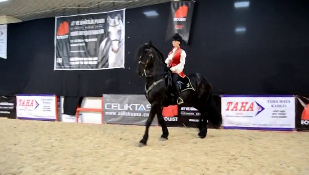 EQUIST 2014 - The Spirit of Horse / Profi Stunt Riders