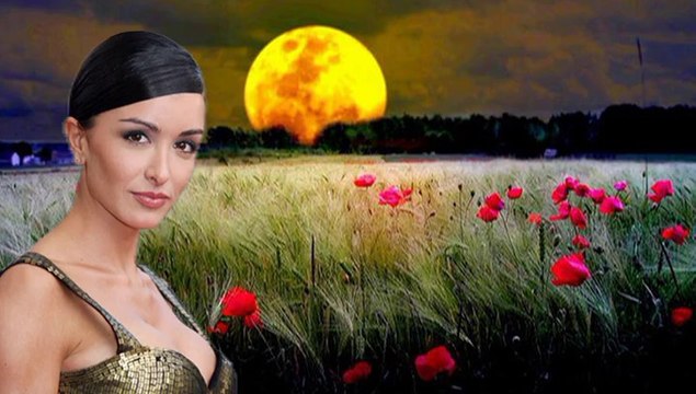 Beyoncé, Emmanuel Moire, Mimie Mathy, Virginie Efira, Fauve Hautot