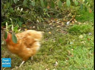 Un petit tour à la campagne