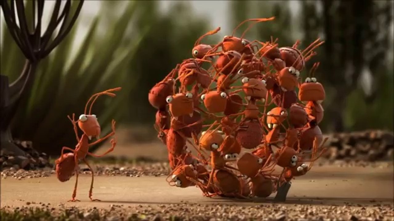 Take The Bus l De Lijn l HD funny videos