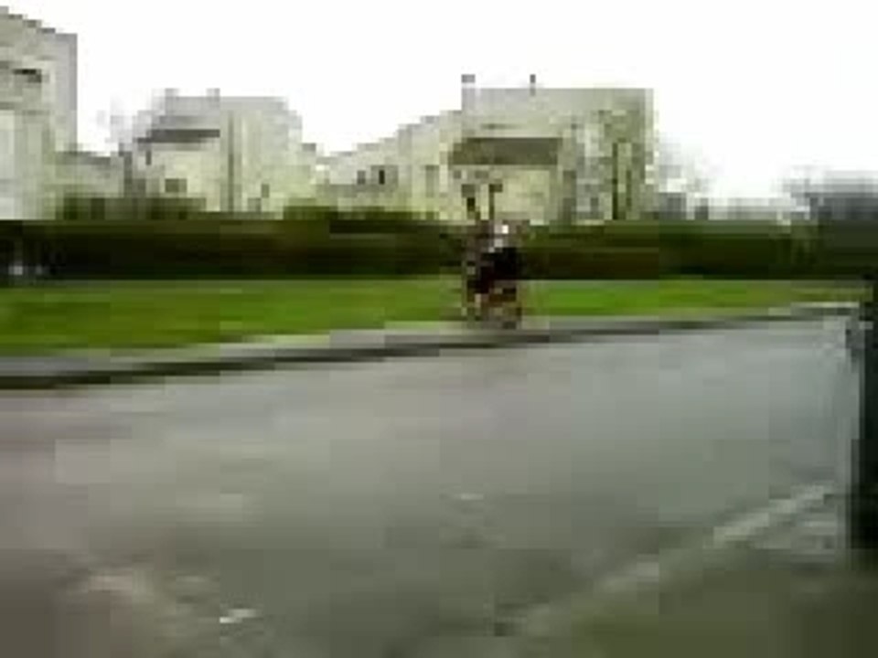 pw tkt