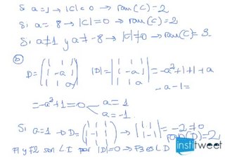 Estudiar el rango de las matrices según el valor del parámetro