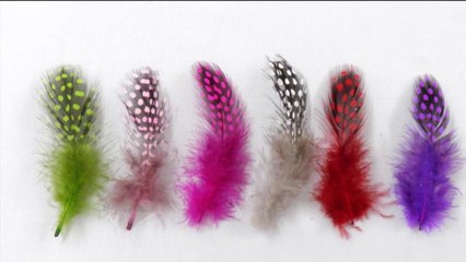 Τέρμα το διάλειμμα ---- Magic de Spell