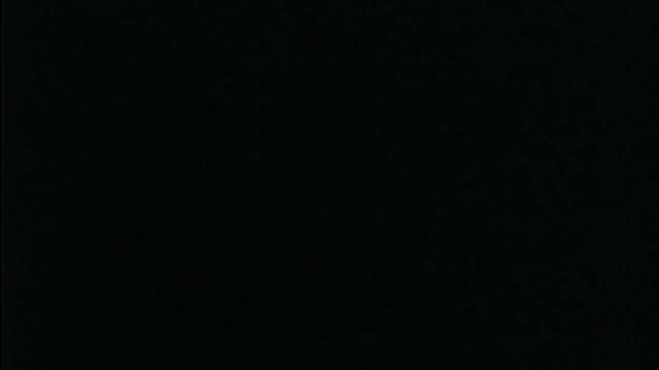 Chanson faites à partir d'oiseau posés sur une ligne électrique. Dingue...