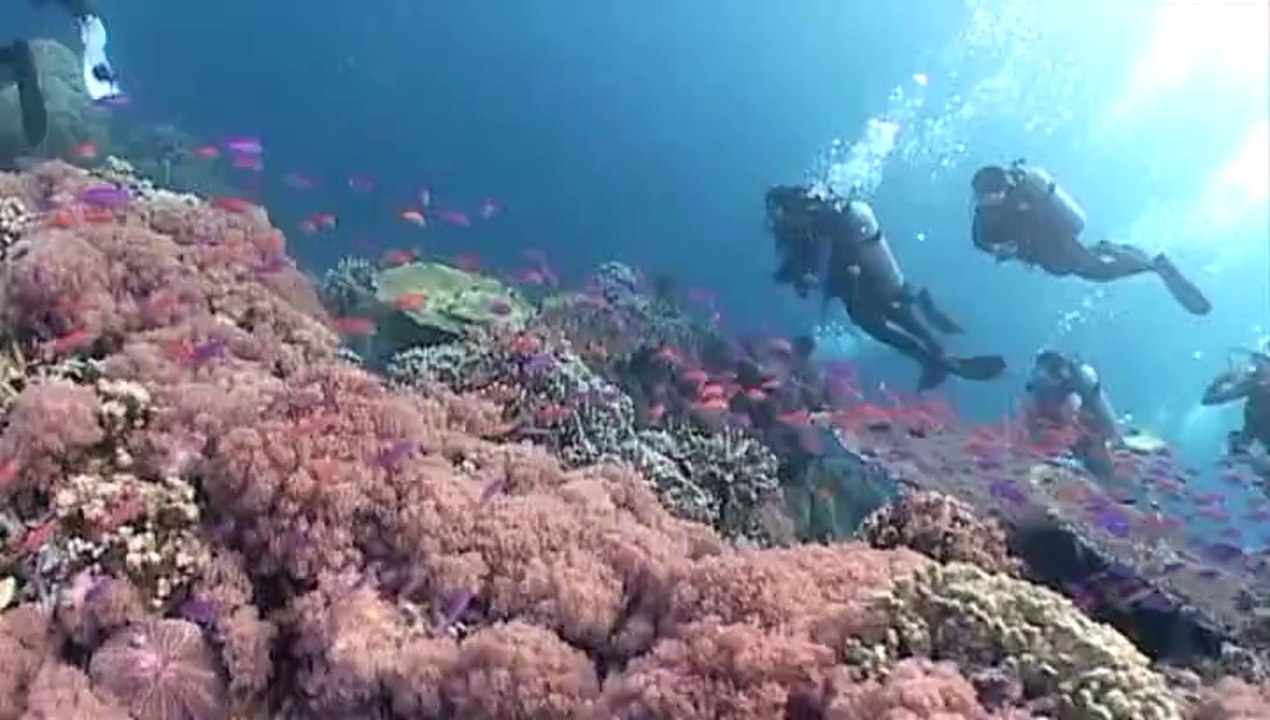 2014 04 19 - Sipadan with Dugong Divers by LKWID Video Dive