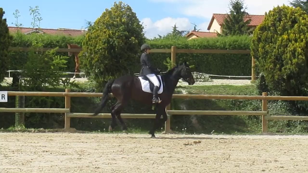 MVI_1338