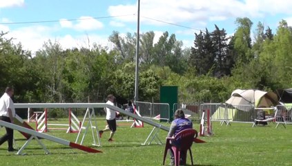 Freedom CR Mouries M1