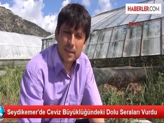 Seydikemer'de Ceviz Büyüklüğündeki Dolu Seraları Vurdu