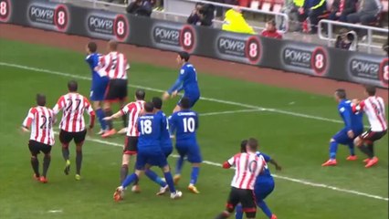 Connor Wickham 2 Goals vs Cardiff City - 260414
