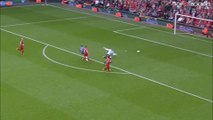 Demba Ba Goal vs Liverpool - 270414