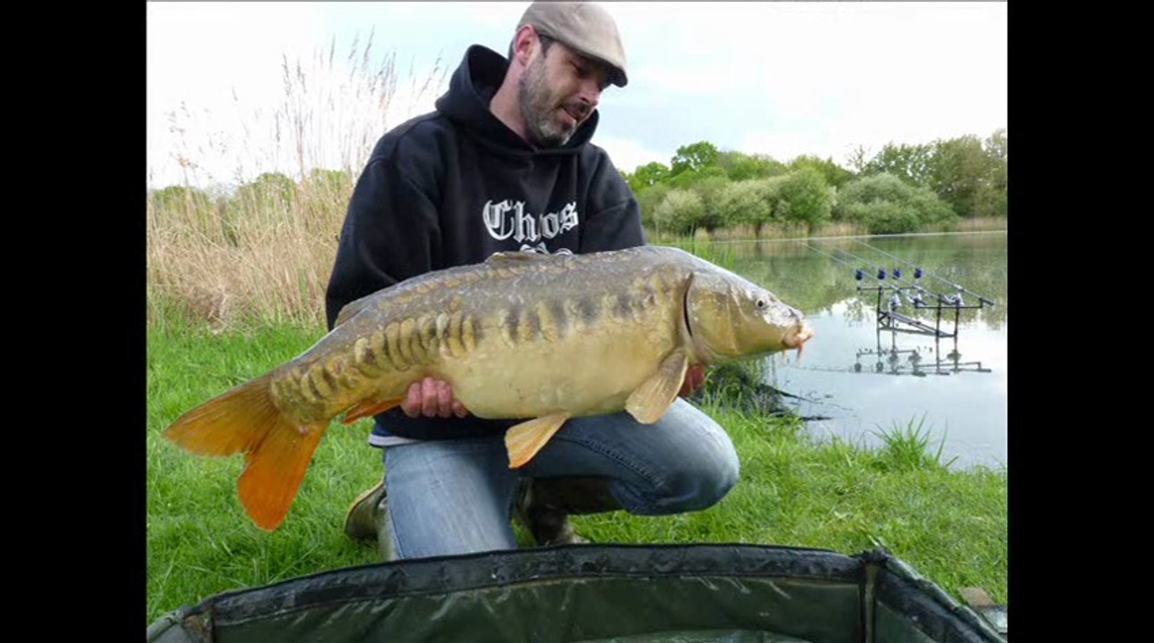 2 départs de carpe en live !