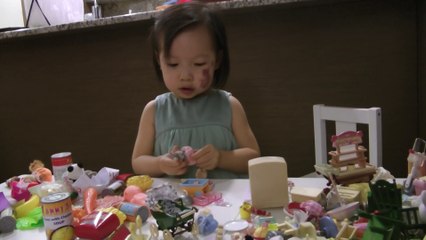 Girl And Sylvanian Families