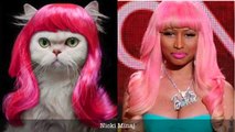 Cats Who Look Like Famous People II _ Funny Cats