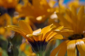 Planeta Terra. 07. Grandes Planicies