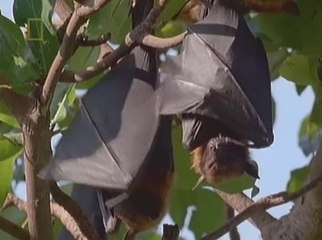 National Geographic The Living Edens-Thailand