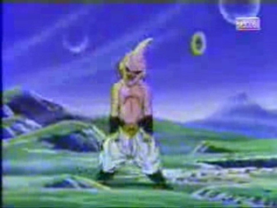 la-mort-de-boubou DBZ