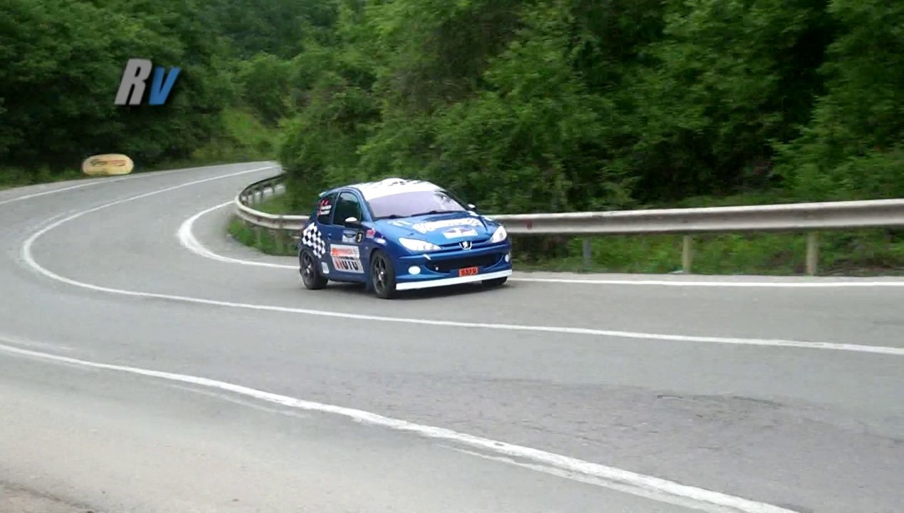 2014 Kocaeli Rally / Tansel Karasu - Yüksel Karasu / Peugeot 206 RC
