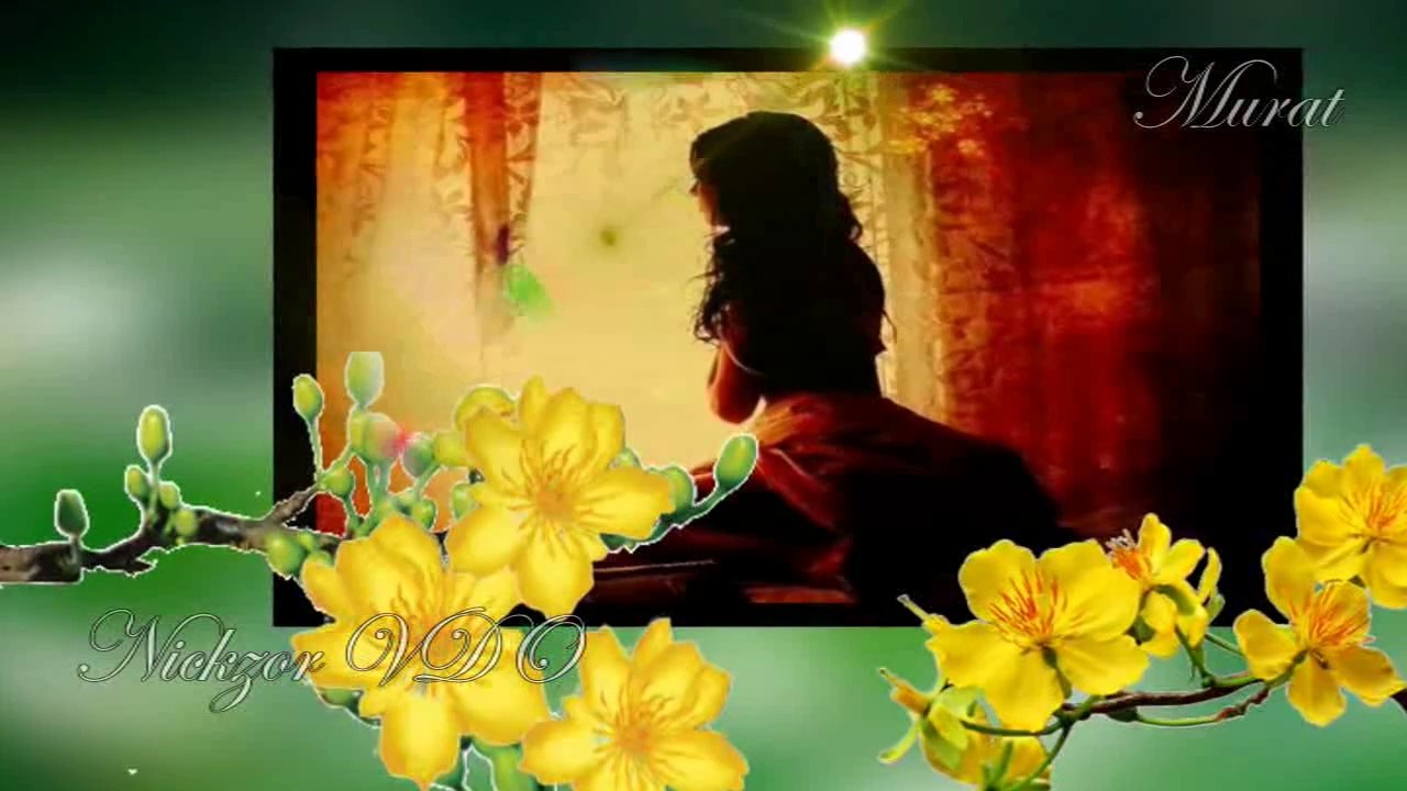 Niran Ünsal - Hangimiz Sevmedik