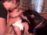 AS GROUPオススメ！　赤ちゃん達のお世話するイヌ　おもしろ動画