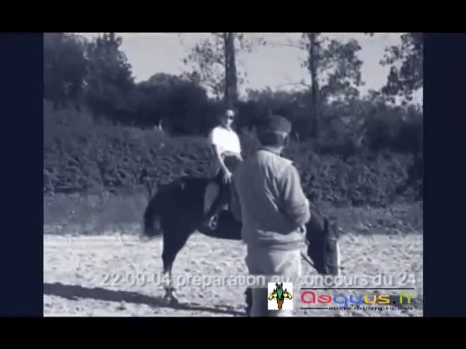 Préparation compétition CSO avec Michel Février
