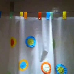 Gagnant concours Vines All Stars #1