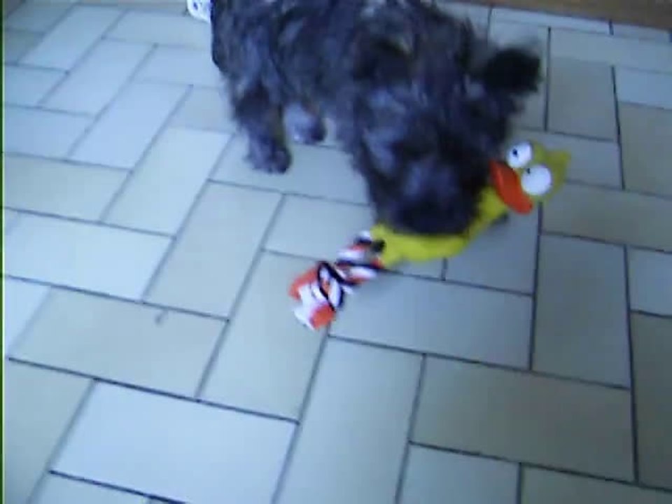 Jaudy et ses nouveaux jouets