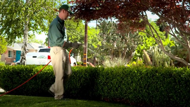 Pinnacle Pest Control, Inc. Pest Control Service Video