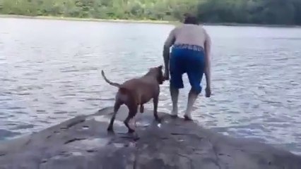 Sahibi Göle Atlayınca Korkudan Ağlayan Köpek