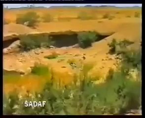 وہ زمین دیکھں جسمیں قارون کا محل دھنس گیااورقصربلقیس کا واقع