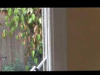 Seattle Window Replacement Contractor
