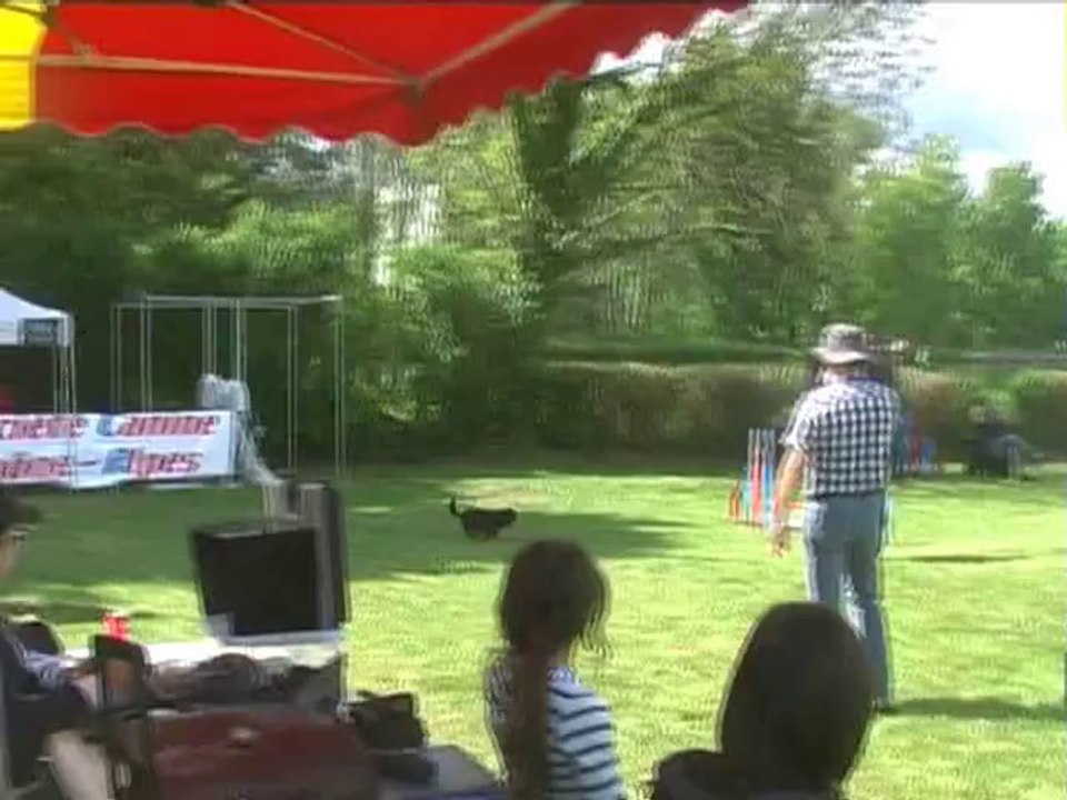 Selectif champ France Flamme wmv