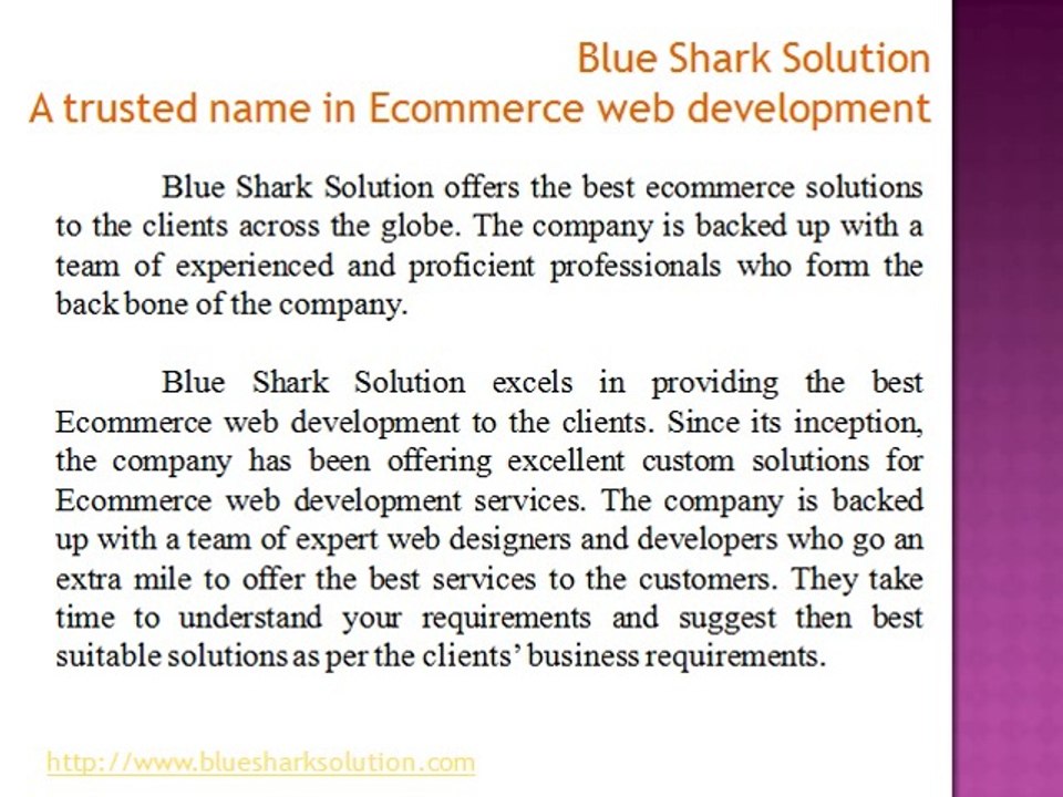 Blue Shark Solution – A trusted name in Ecommerce web development
